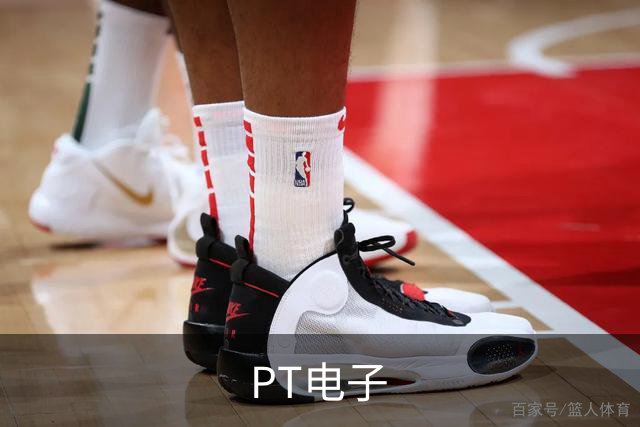 PT电子公司简介图片